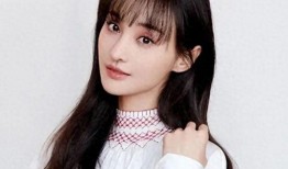 郑爽最新娱乐圈爆料,揭秘背后惊人真相